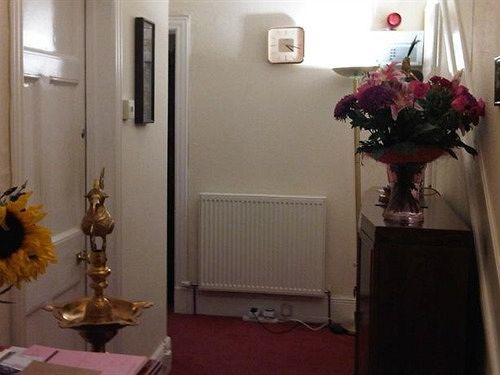 Alcorn Guest House Данди Экстерьер фото